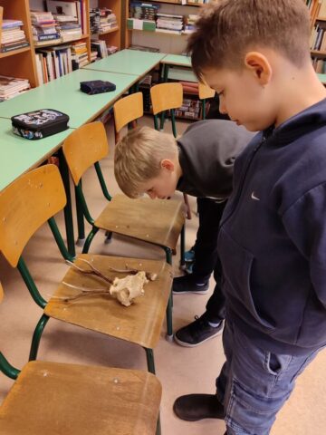 0cfdec4d-64db-4cd5-9d6f-fab5424ac0a5