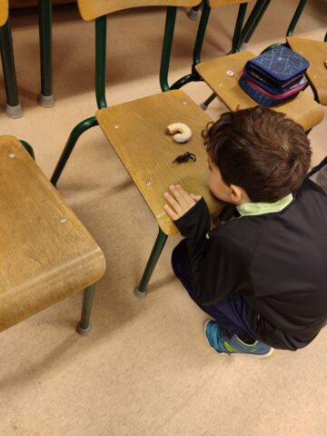 82f5f7c7-5a7b-4270-8509-07dca6834ab3