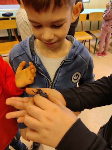 937e6811-27c8-4435-80b4-e3756eef6bd3