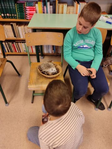 97fd7f53-fb82-4437-8103-90b47d13dbff