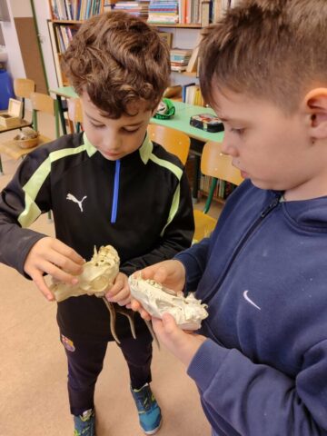 e61d9550-dfbb-4abe-b745-3965ccc13941