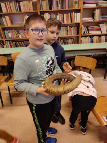 fef17cae-967d-404e-9bf2-e41308cf245a